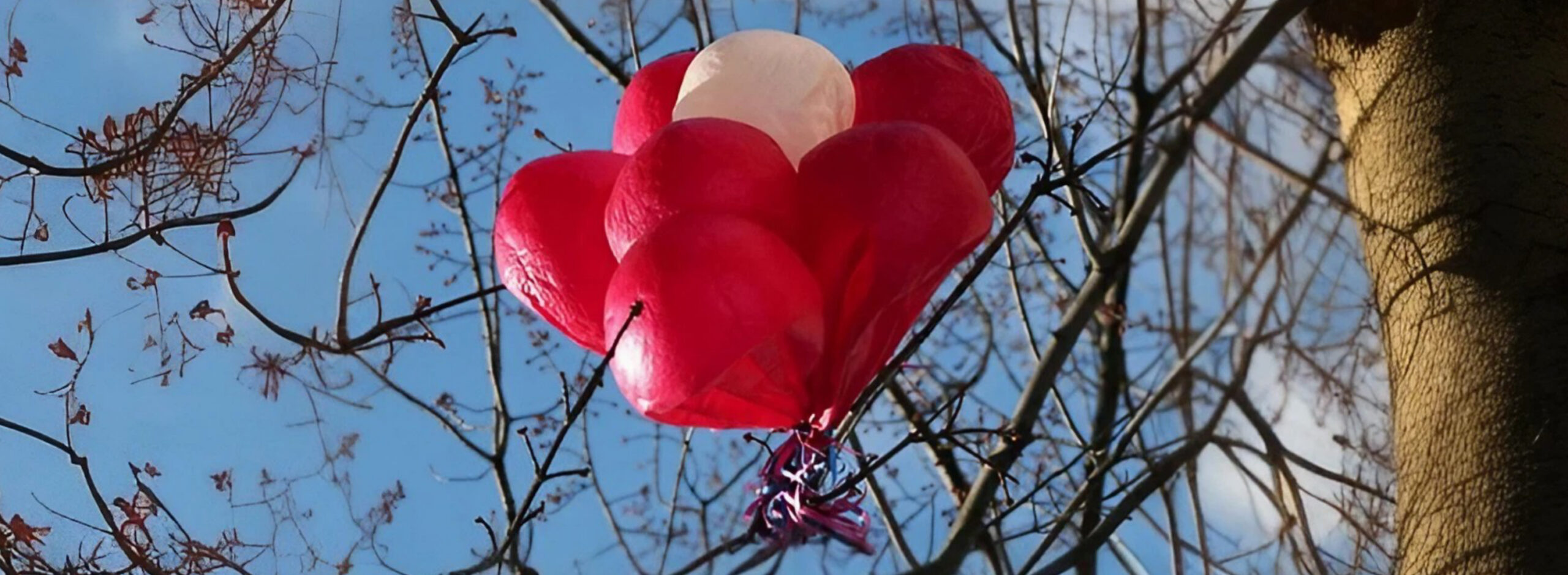 Umweltverschmutzung durch Luftballons, Ballons im Gebüsch, Alternative zu Luftballons