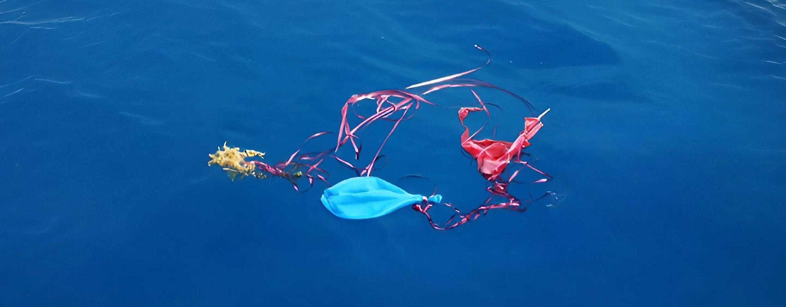 Umweltverschmutzung durch Luftballons, Ballons im Wasser, Alternative zu Luftballons